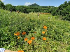 -白草畔自然风景区