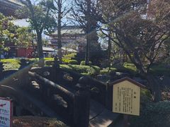-浅草寺