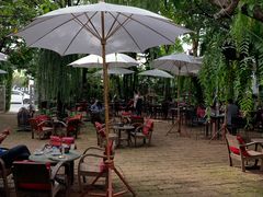 -Fern Forest Cafe