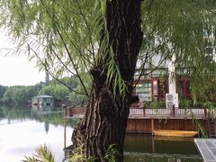 -东湖食堂·湖景餐厅•会议