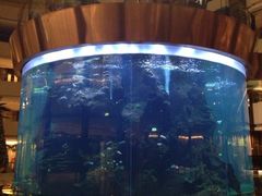 iphone_upload_pic-佛山希尔顿酒店·融誉亚洲美食荟