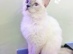 -极木²邸 人与宠物·互动社区