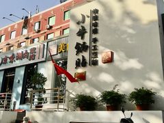 -小牛锅贴(西环路店)
