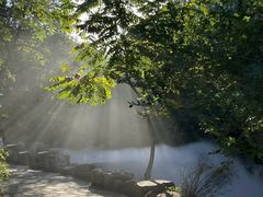 -北京西山国家森林公园