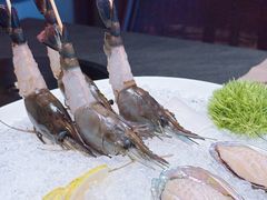 -滟设火锅料理(南滨路店)