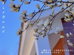 -大望京公园