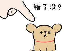 -泸溪河桃酥(江宁太阳城店)