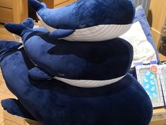-九木杂物社(恒隆广场店)