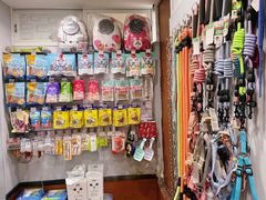 -瑞派动物医院·绝育·犬猫全科·预防医学(光景江南中店)