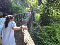-秦岭终南山世界地质公园翠华山景区