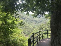 -磐安十八涡风景区