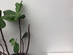 -UNI UNI(环亚凯瑟琳店)