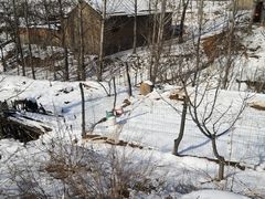 -小麦岛公园
