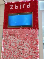 点击看大图 -钻石小鸟钻戒婚戒定制(石路店)