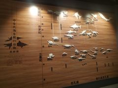 -贵州省地质博物馆