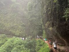 -青城山