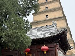 -大慈恩寺(大雁塔)