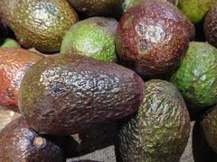 -新鸿港水果市场(三亚新鸿港国际商品交易中心店)