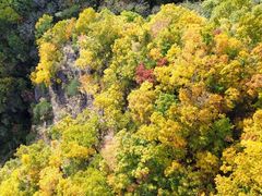 -牛背梁国家森林公园