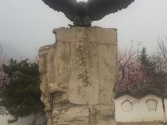 -北京鹫峰国家森林公园