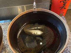 -印象鲵宴·张家界地标美食名片(溪布街店)