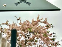 -白石龙音乐公园