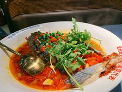 -坛宗剁椒鱼头(河西王府井店)