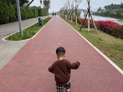 -万绿园