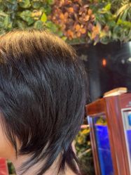 -T.1 hair salon烫染接发