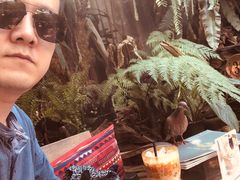 -Fern Forest Cafe