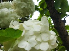 -白塘生态植物园
