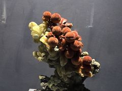 -青田石雕博物馆