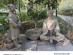 -杭州半山国家森林公园