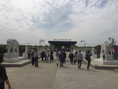 -海上花岛玫瑰园采摘