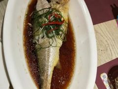 -贴阁碧(百丈东路店)