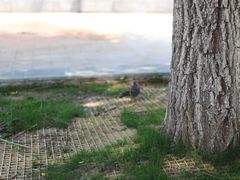 -兴隆文化园景区-兖州博物馆