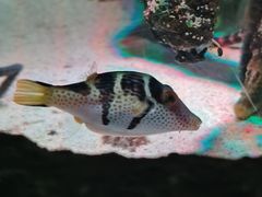 -沈阳海洋探索中心