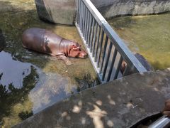 -西安秦岭野生动物园