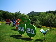 -金龙寺国家森林公园