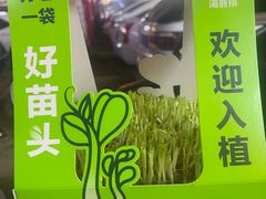 -海底捞火锅(星光不夜城店)