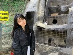 -栾川竹海野生动物园