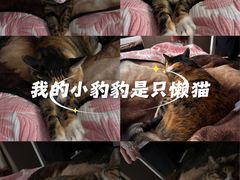 -新荟城(望京店)