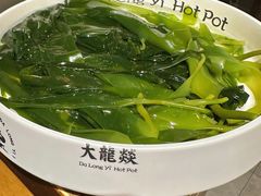 -大龙燚火锅(春熙店)