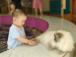 -萌宠亲子动物乐园(槐房万达店)