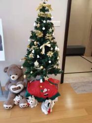 -ROYEA茹彦祛痘·问题肌肤修护中心