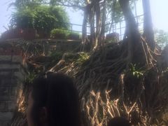 -胡里山炮台