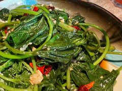 地瓜叶-佬肥猫(七宝宝龙店)