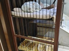 -津菜宋记老房子(鼓楼店)