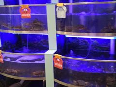 -七欣天(浦东羽山乐坊店)