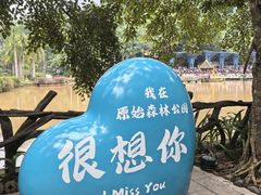 -西双版纳原始森林公园